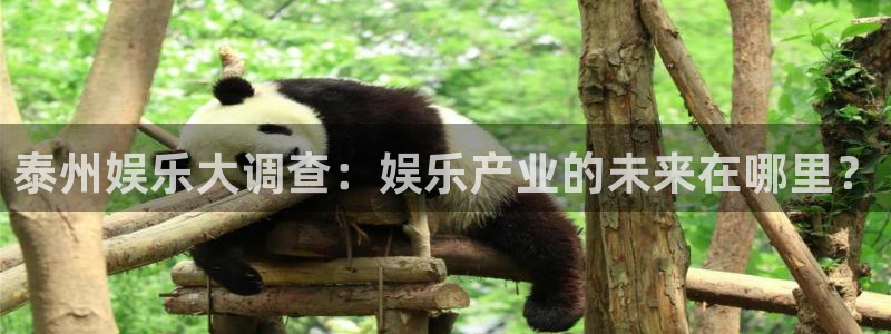 赢咖7：泰州娱乐大调查：娱乐产业的未来在哪里？
