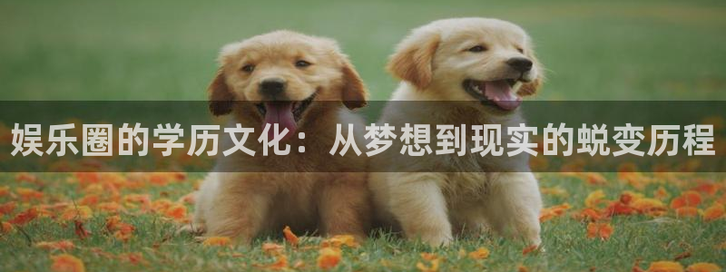 赢咖代理：娱乐圈的学历文化：从梦想到现实的蜕变历程