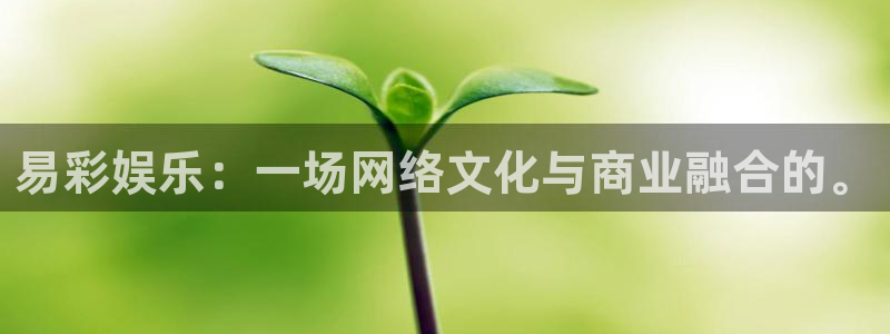 赢咖app下载品牌官网：易彩娱乐：一场网络文化与商业融合的。