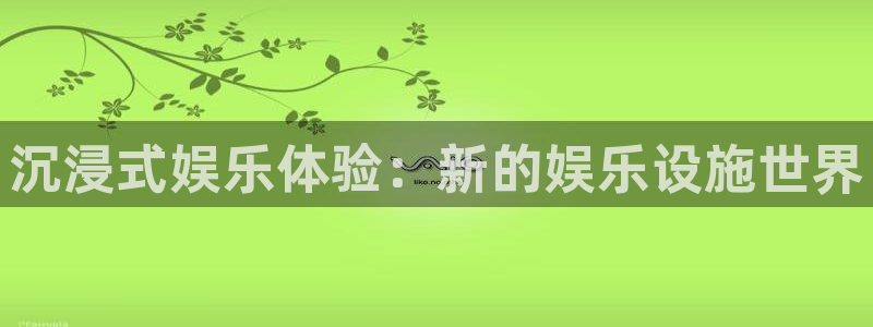 赢咖是正规的吗：沉浸式娱乐体验：新的娱乐设施世界