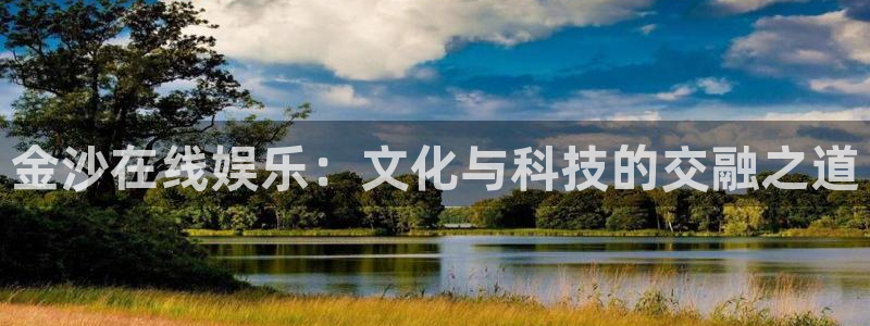 赢咖4：金沙在线娱乐：文化与科技的交融之道