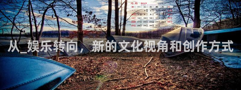 赢咖官网入口地址：从_娱乐转向，新的文化视角和创作方式