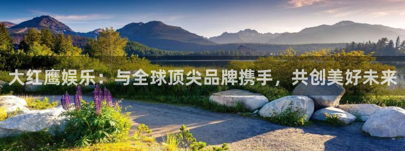 赢咖1平台网址：大红鹰娱乐：与全球顶尖品牌携手，共创美好未来