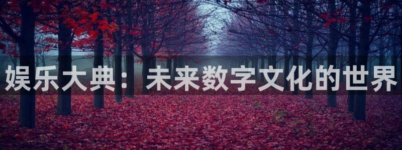 赢咖3主管招商咨询服务平台：娱乐大典：未来数字文化的世界